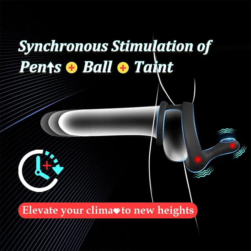 PR6: Dual Motors Penis Testicle Taint Remote Control Cock Ring